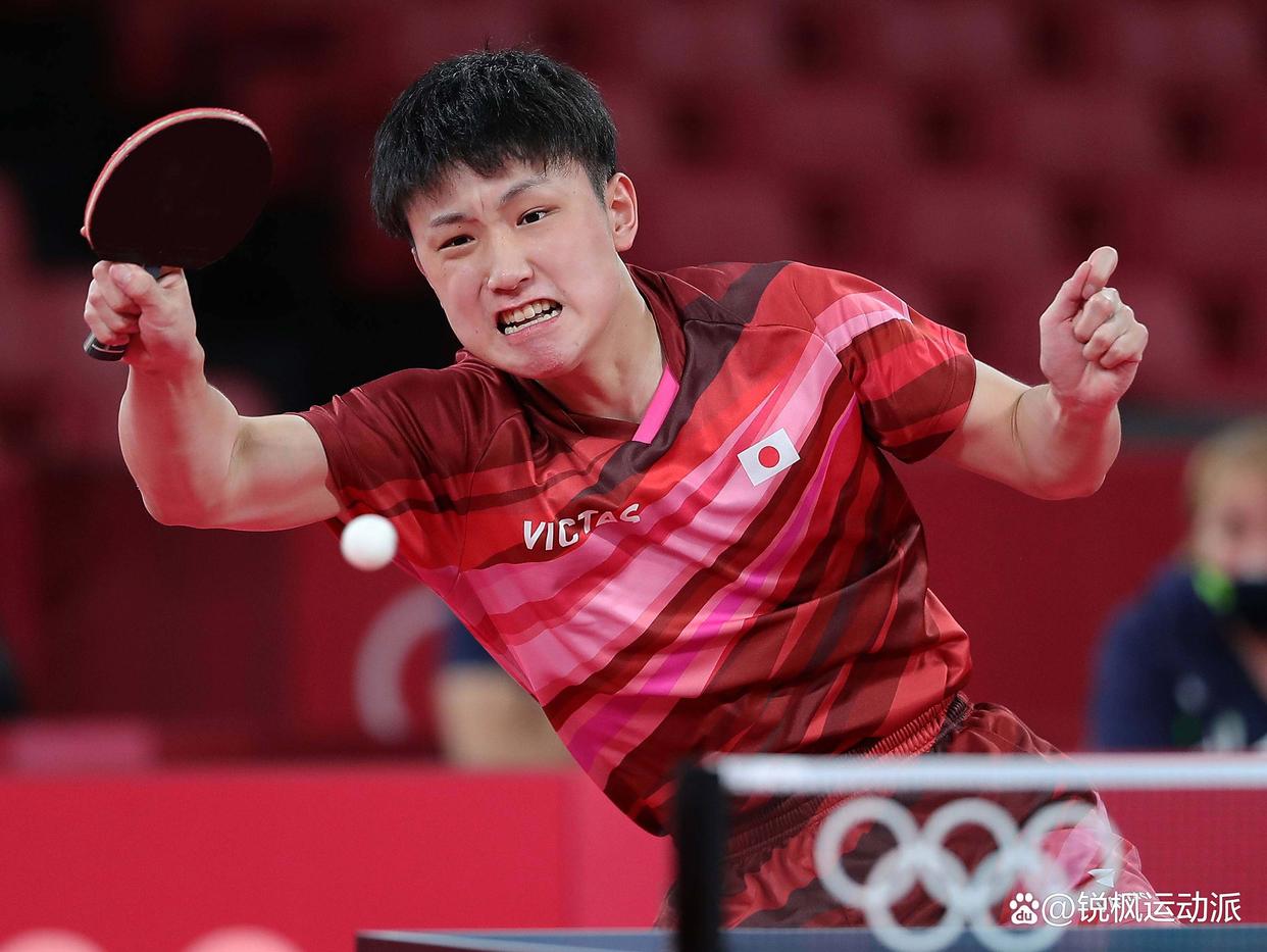 德国队翻盘韩国队,张本智和状态火热 德国队翻盘韩国队,张本智和状态火热