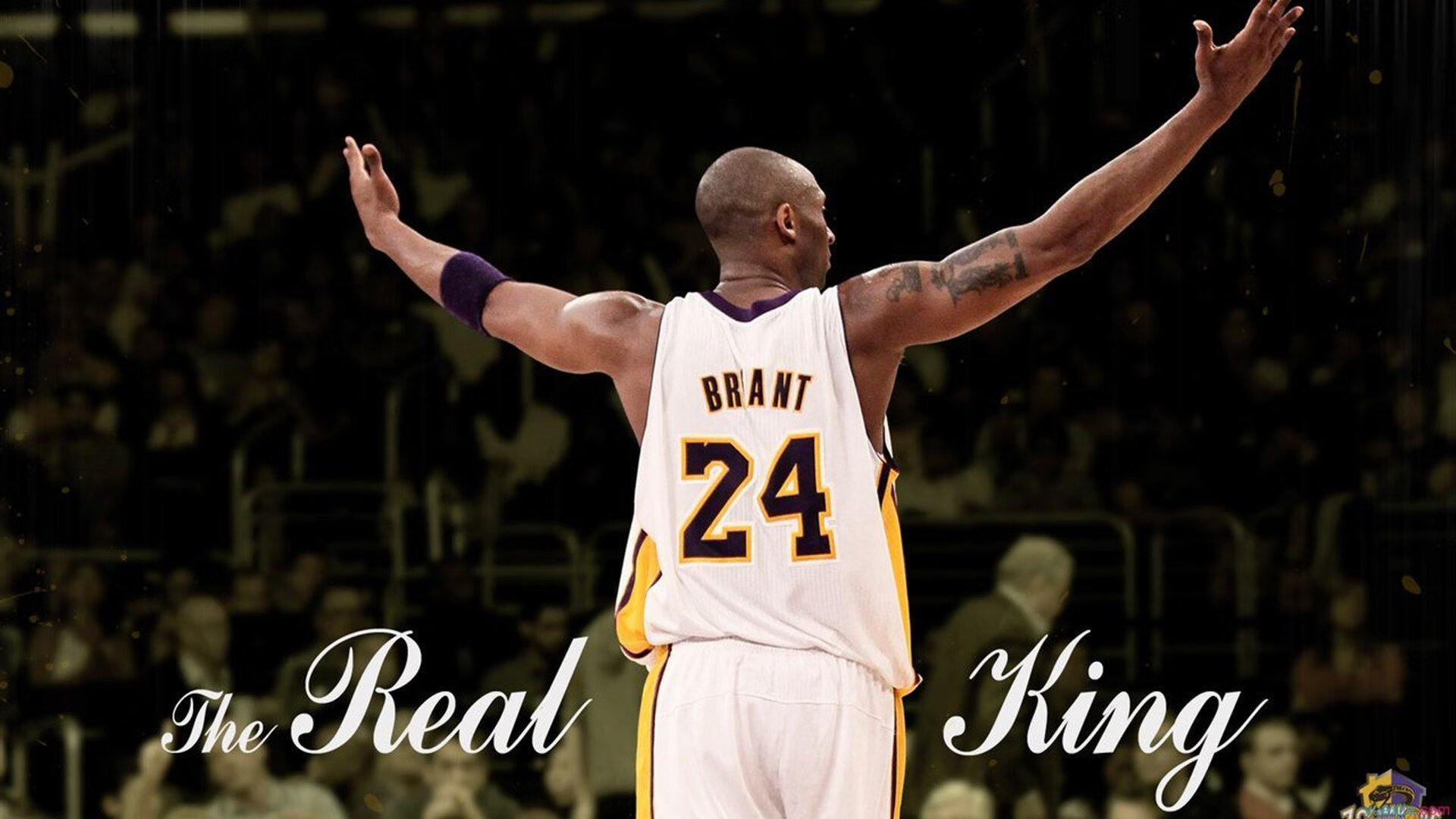 开云体育视频直播-联合杯力克年终总决赛，纳达尔状态火热预示王者归来